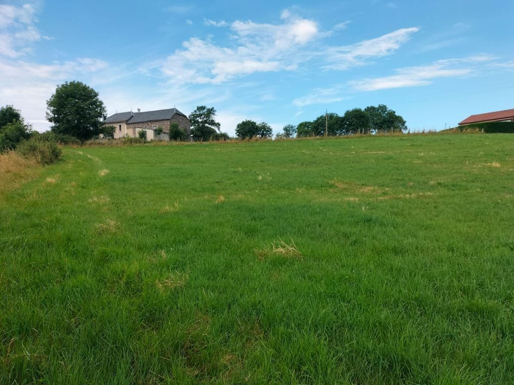 Terrain ST FLOUR 236500€ Agence Terres d'Immo